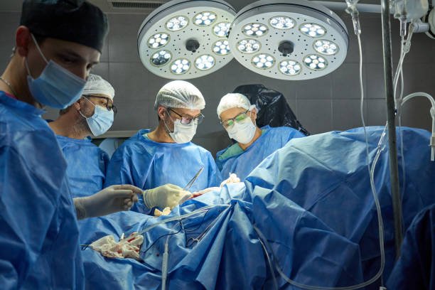 Protocolo Operacional Padrão: A Complete Modern Guide for Business Efficiency Protocolo operacional padrao